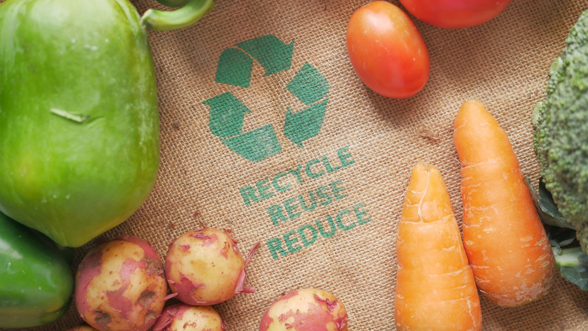 sgs food waste