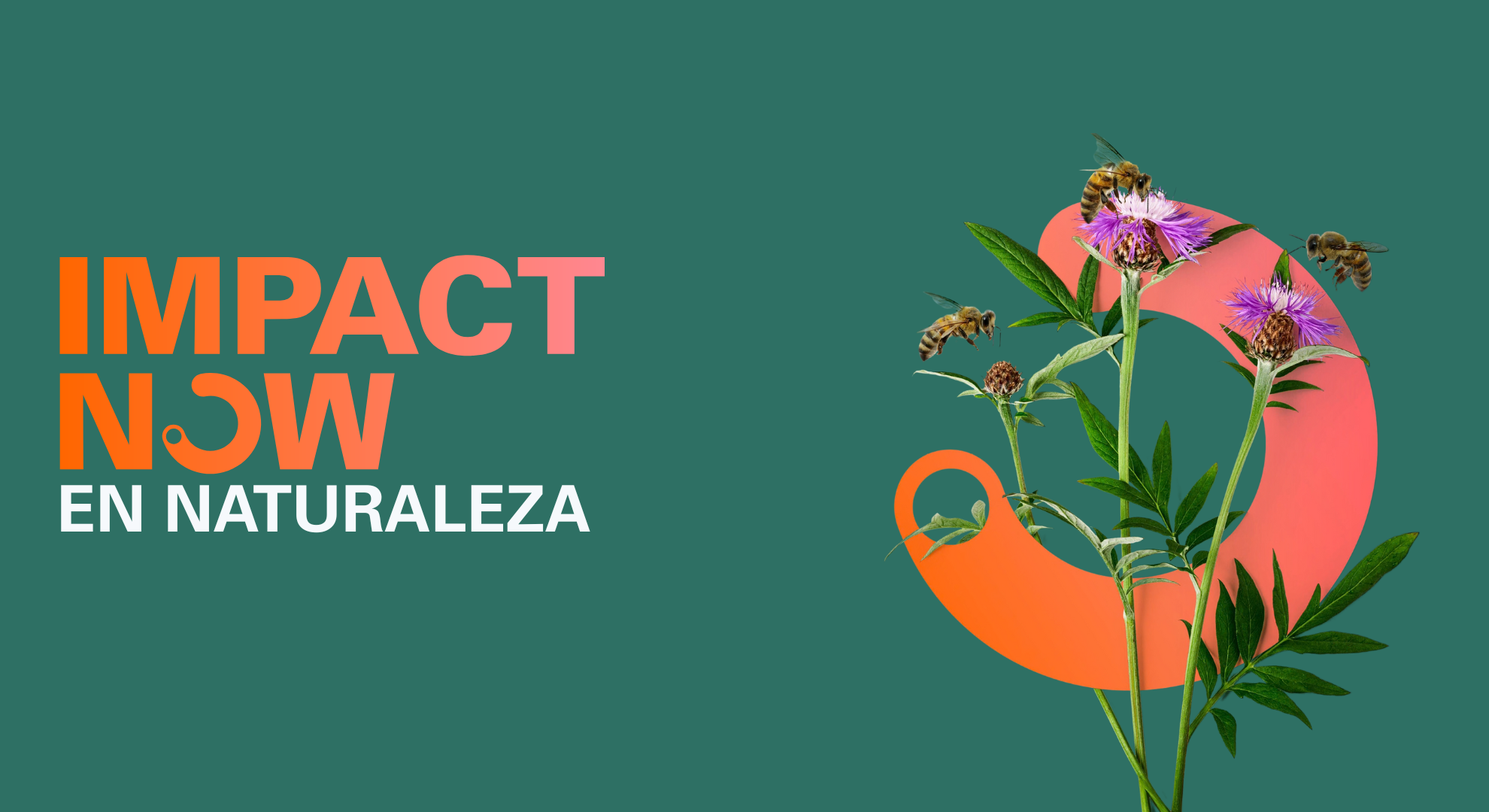 SGS Impact Now - El portafolio más completo de sostenibilidad