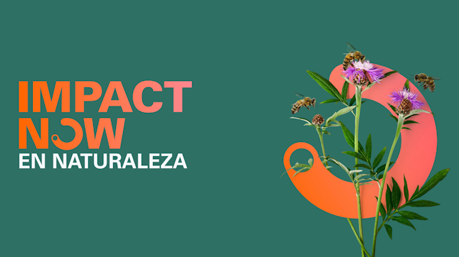 SGS Impact Now - El portafolio más completo de sostenibilidad