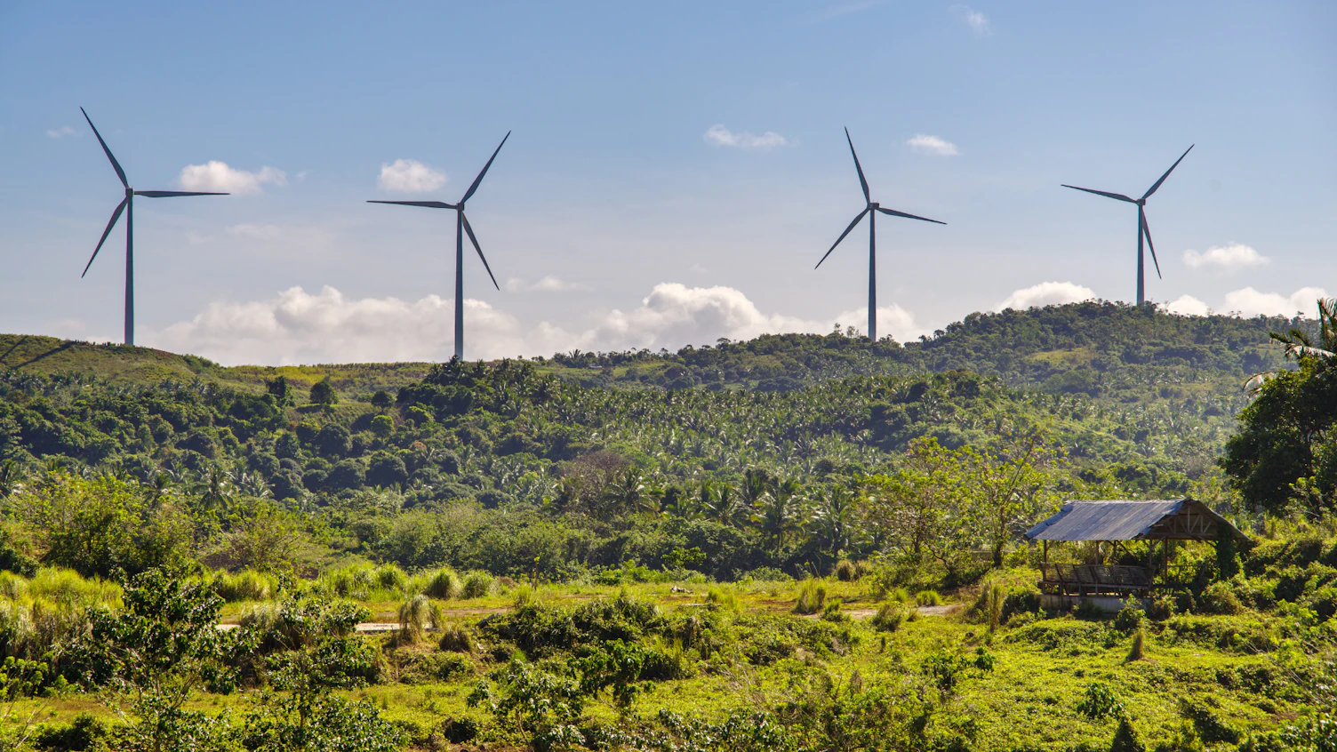 Wind Services_