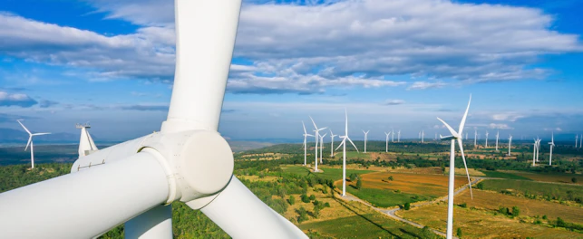 Wind Services
