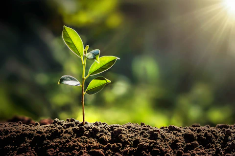 ESG Webinar