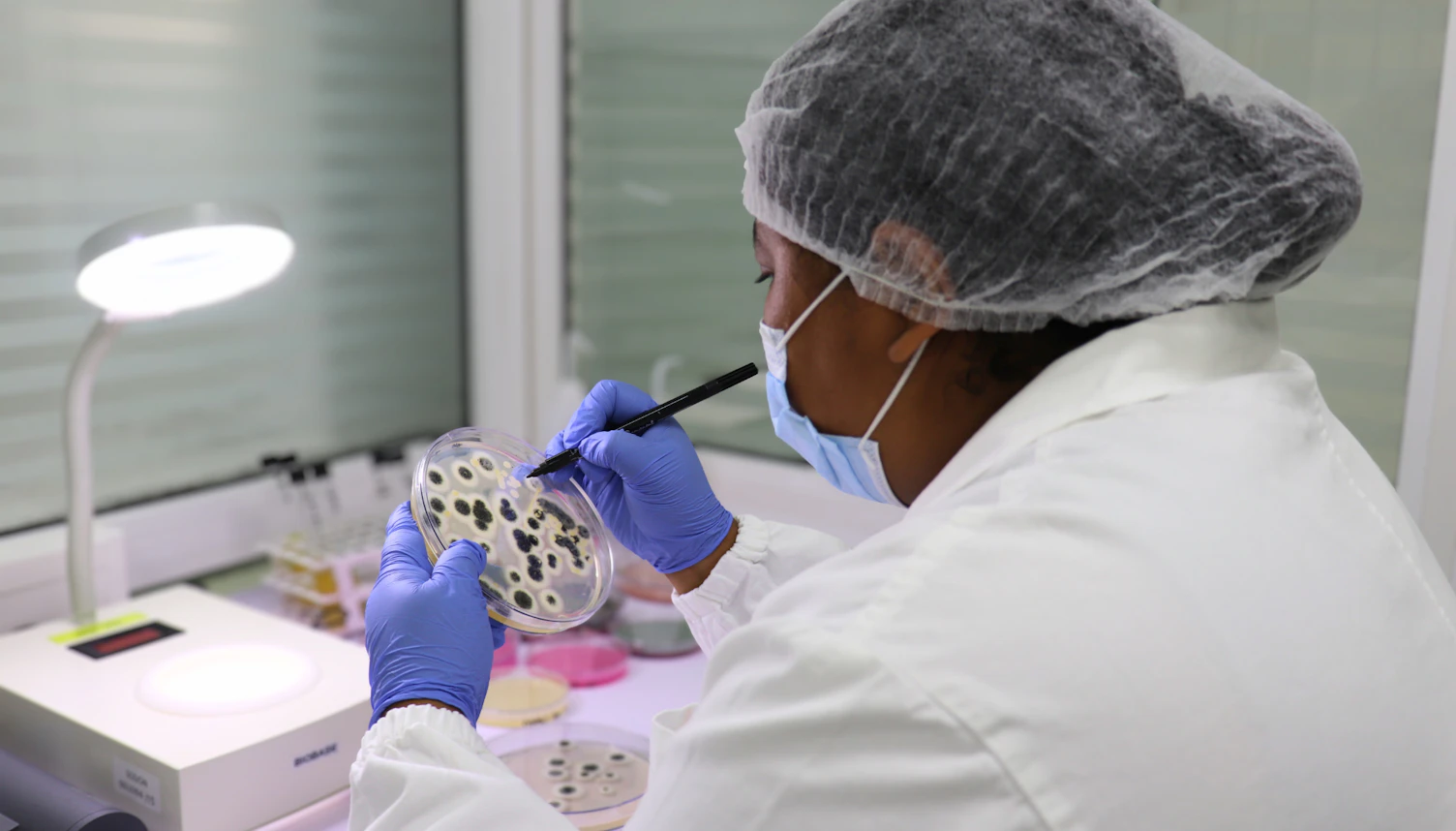Food testing