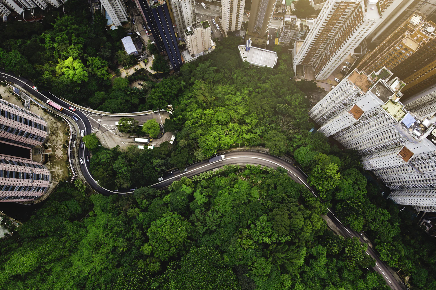 Green City 2
