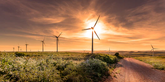 Mexico wind services horizontal 1