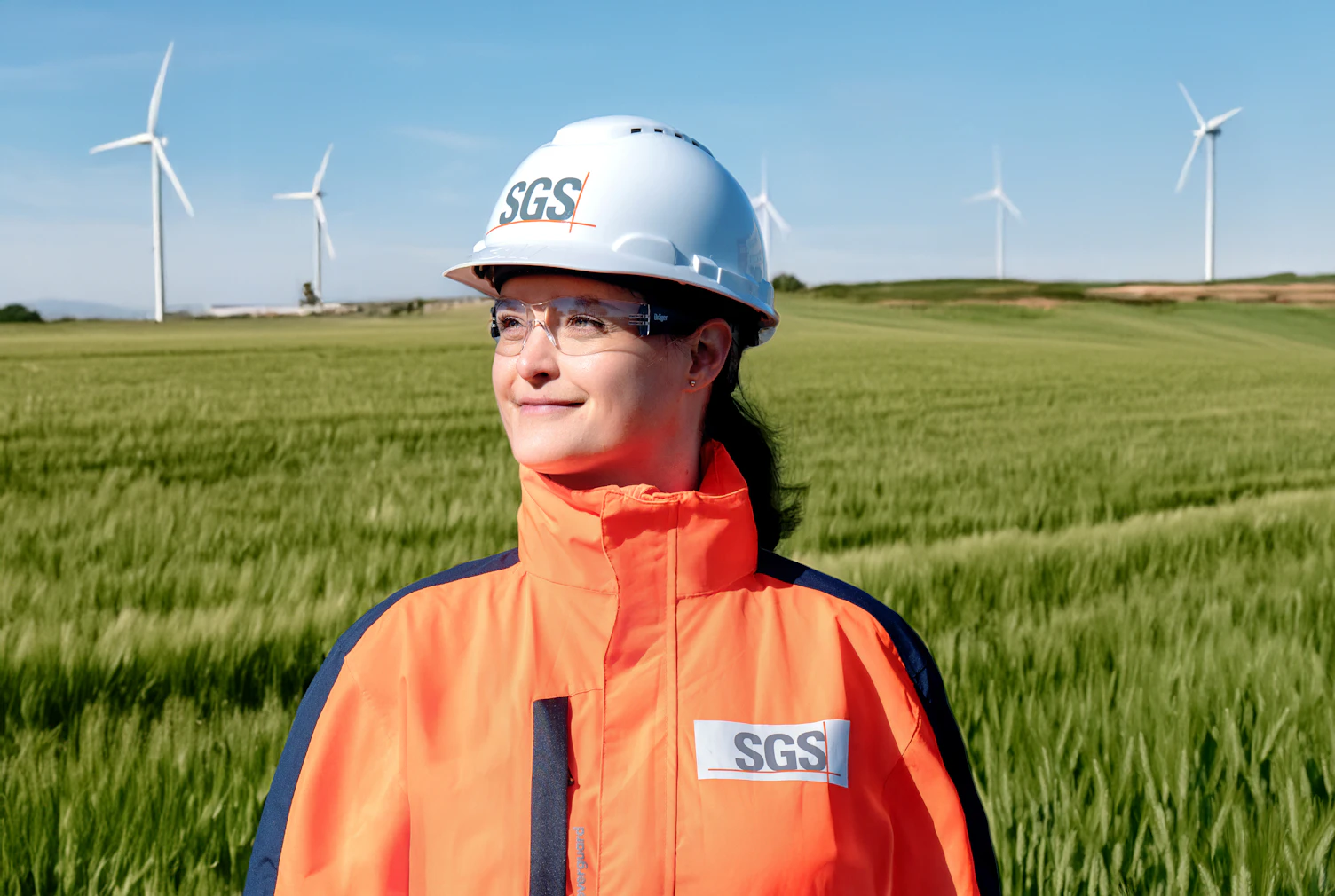 SGS Wind Turbine Farm Inspection Rotterdam Netherlands 4