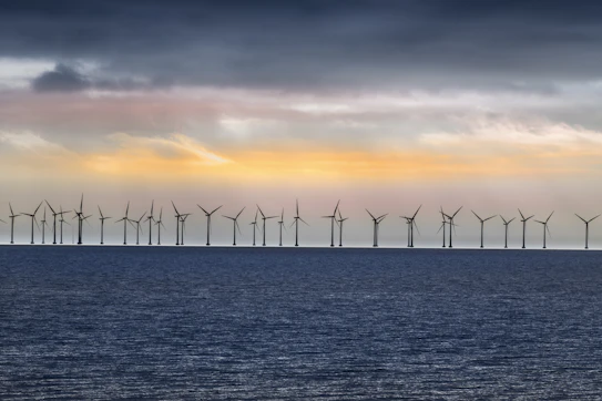 Wind services9