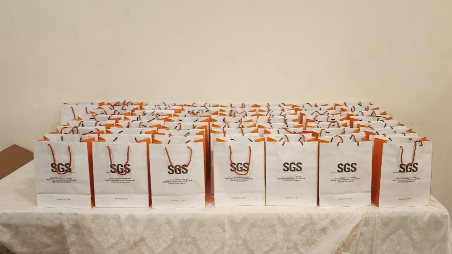 Awareness Session on SGS Role for Coal Exploration Mining and Trade