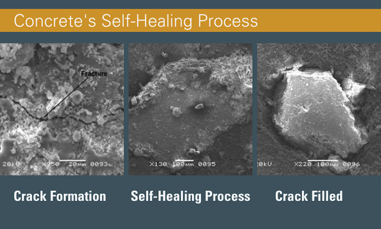 How Self Healing Concrete Performs Results of an Experiment Conducted in SGS Karachi Laboratory