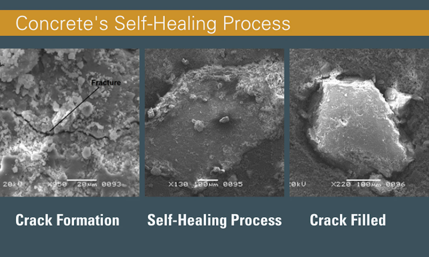 How Self Healing Concrete Performs Results of an Experiment Conducted in SGS Karachi Laboratory