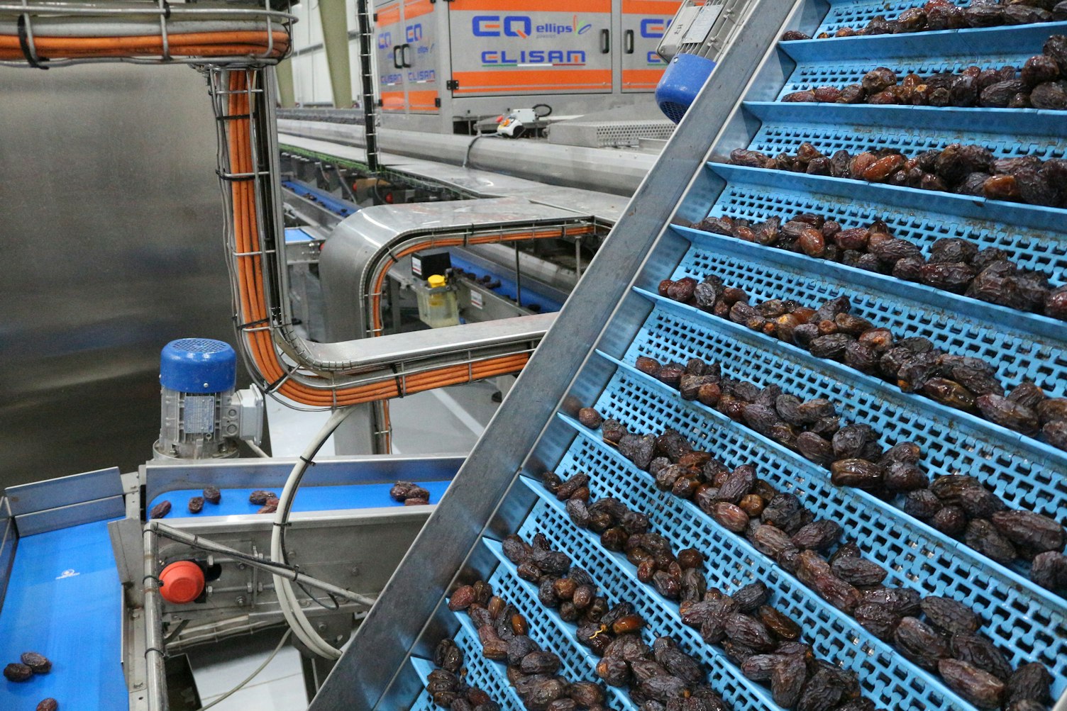 Medjool Village Jordan