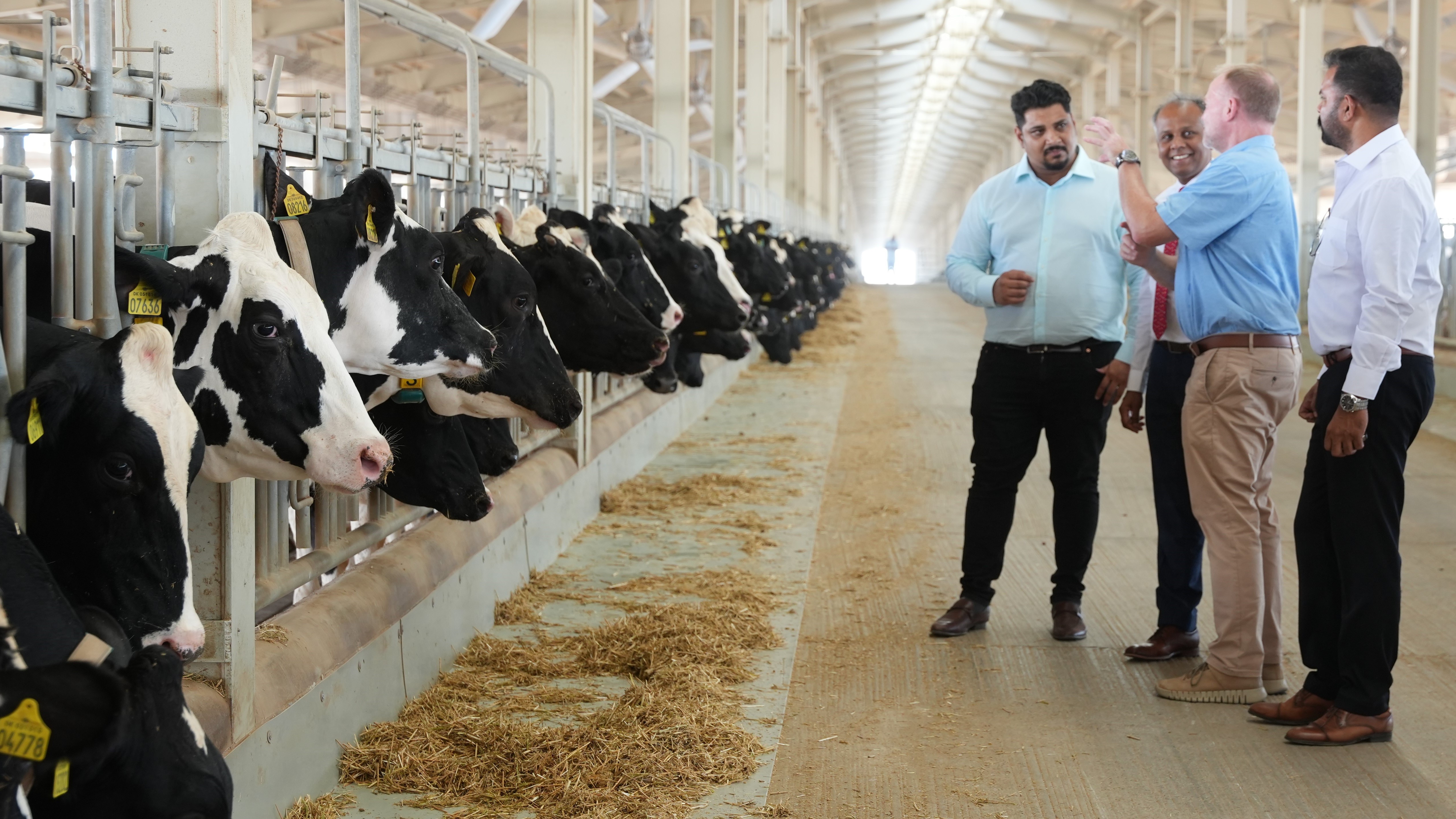 SGS Certifies UAE First Organic Cow Farm in Sharjah