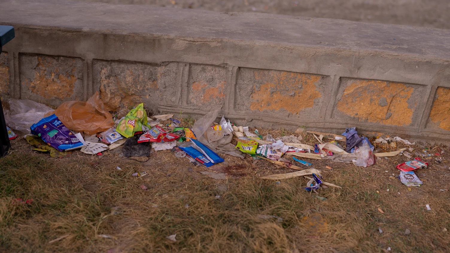 SGS Karachi Marked the World Environment Day by Cleaning the Seaside Beach