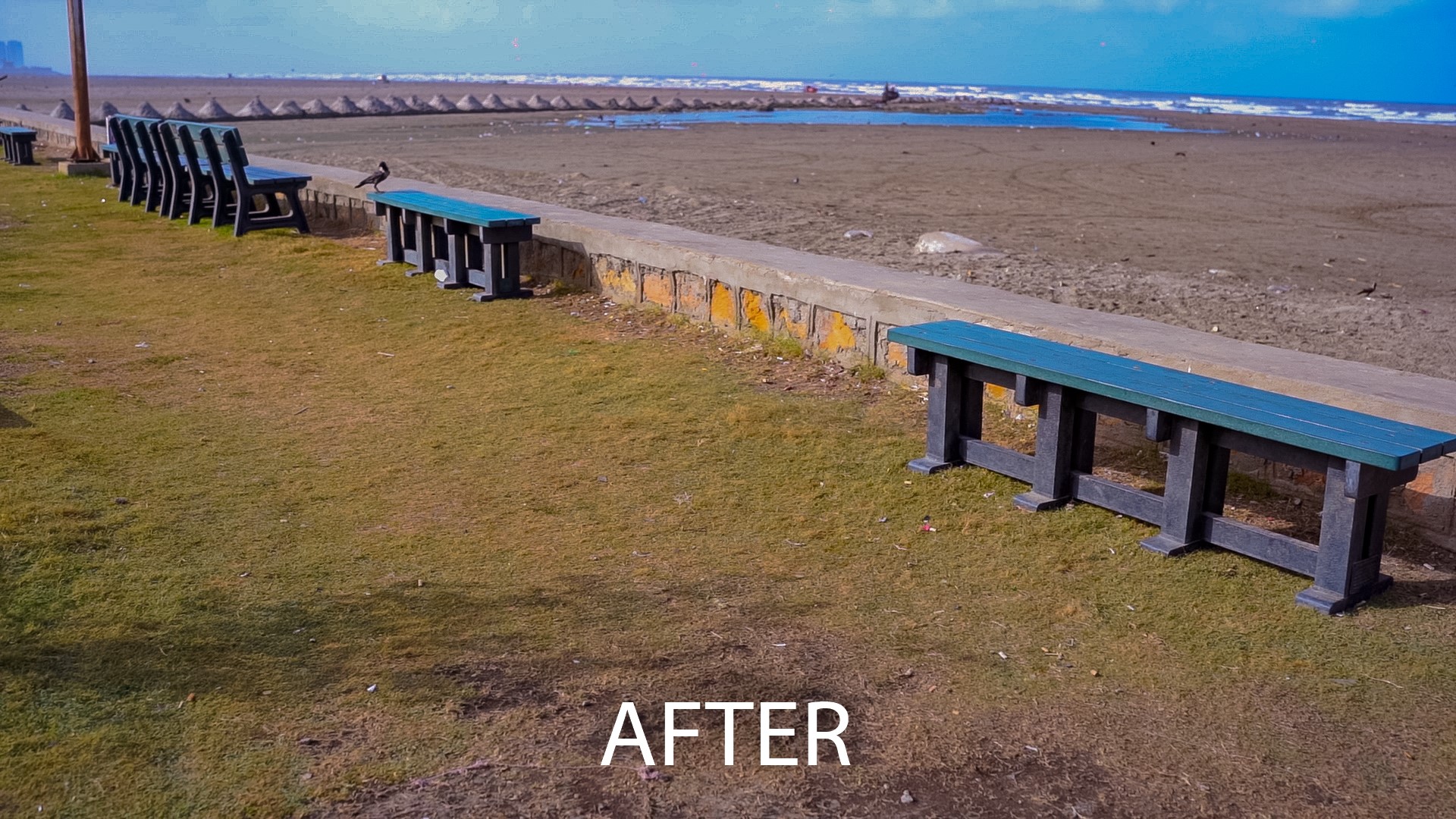 SGS Karachi Marked the World Environment Day by Cleaning the Seaside Beach