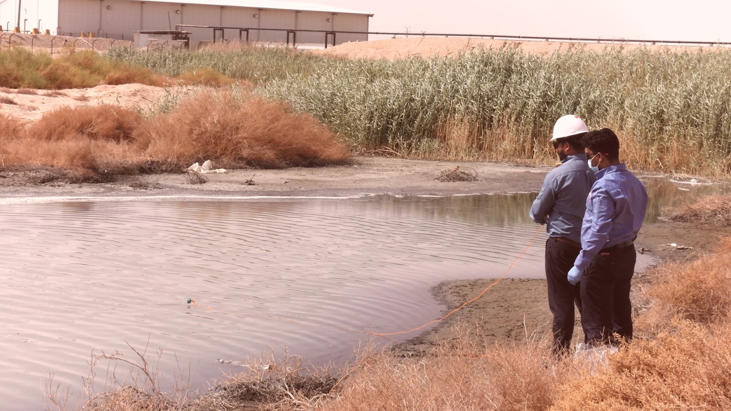 SGS Role in Biodiversity Conservation for a Green Planet in Saudi Arabia