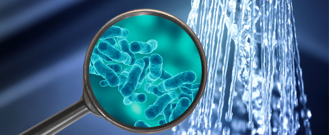 shower legionella