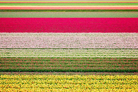 Milieucertificering en -registratie in de sierteelt