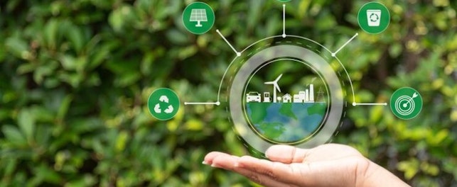 beneficios certificado huella carbono empresas