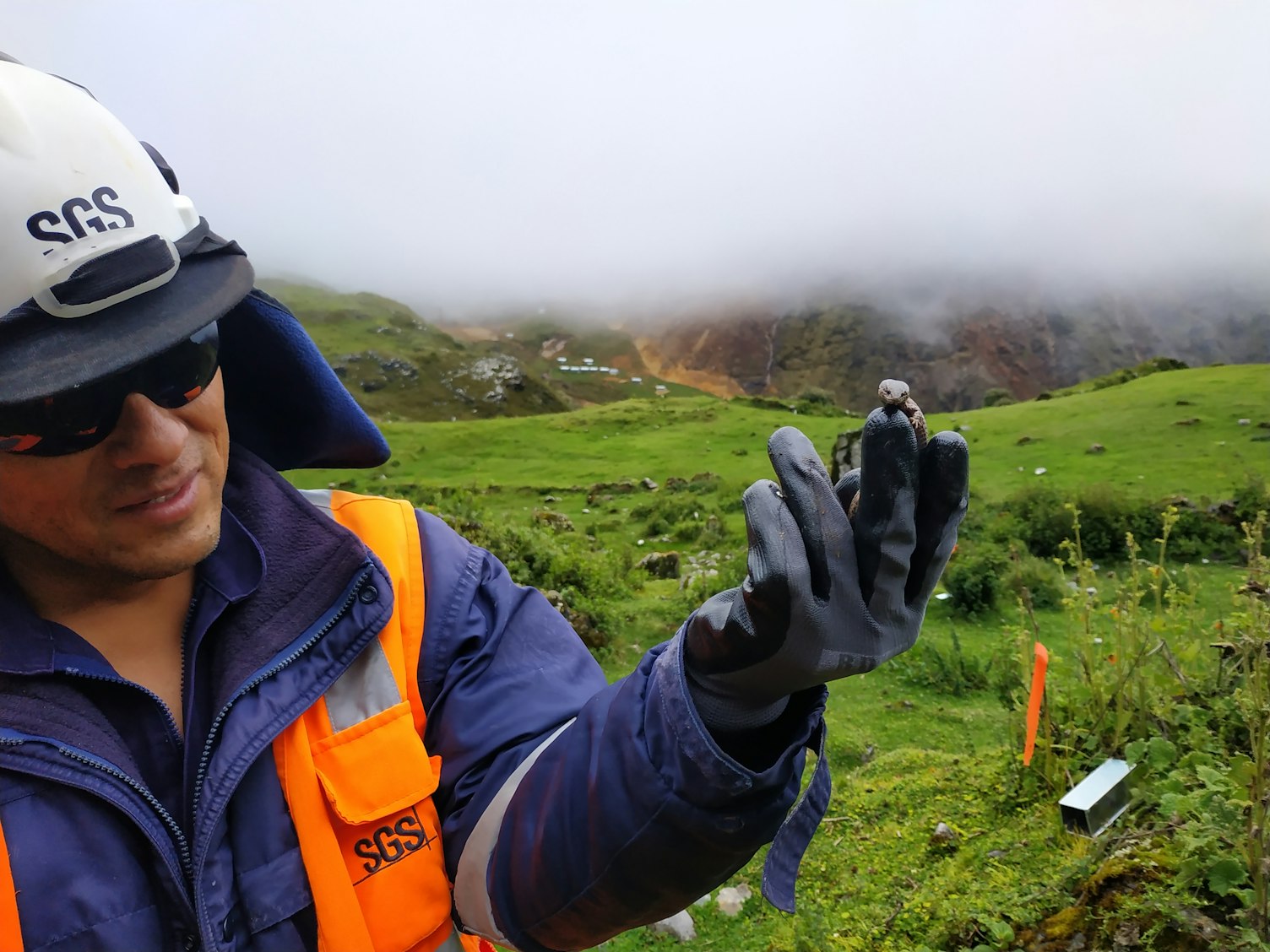 Evaluación de biodiversidad: el servicio clave de SGS para una gestión ambiental responsable