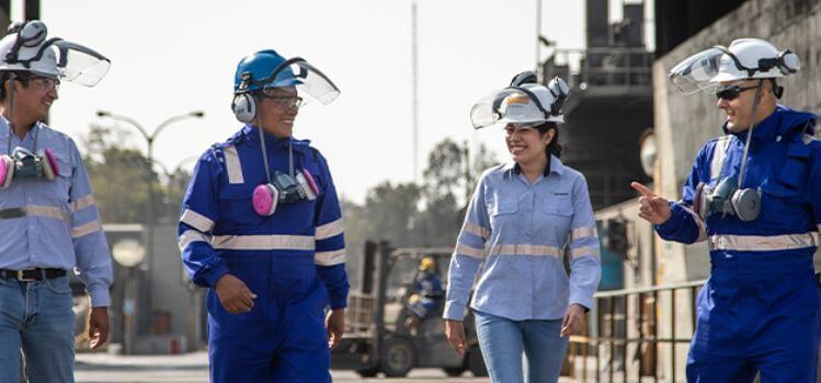 caso exito minsur sgs