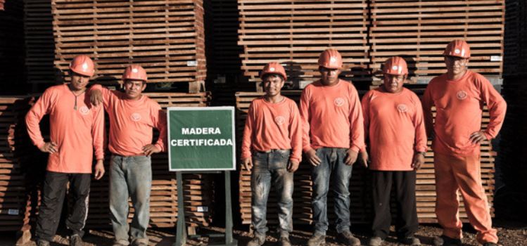 certificacion gestion forestal maderera