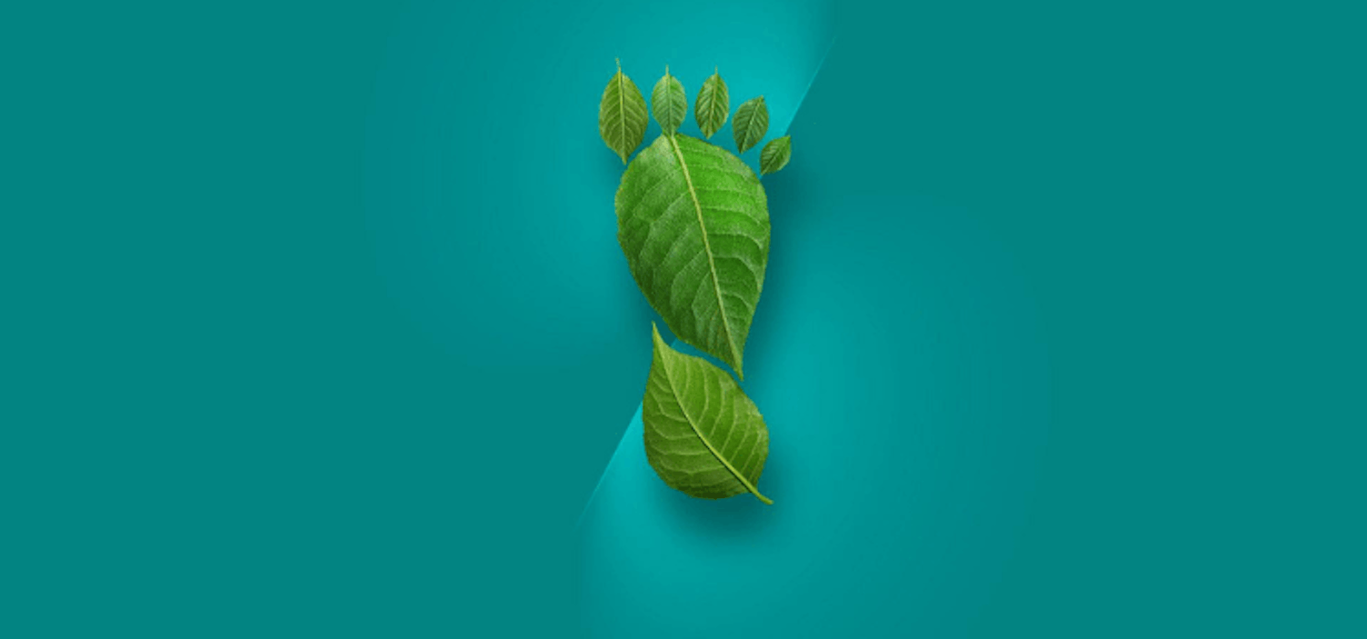 Como Mide Huella Carbono Producto