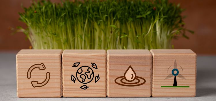 eficiencia uso recursos naturales