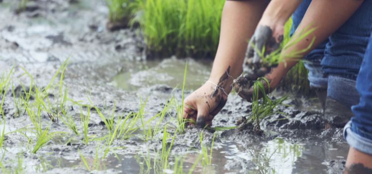huella hidrica industria alimentaria