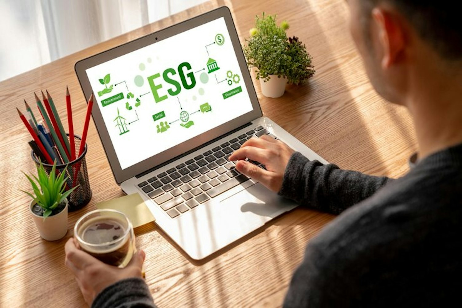 politica gobernanza social medioambiental