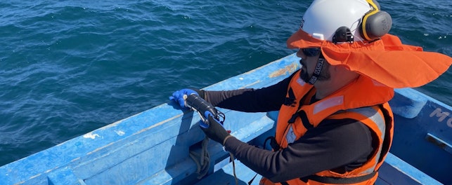 Underwater Noise Service in the sea.