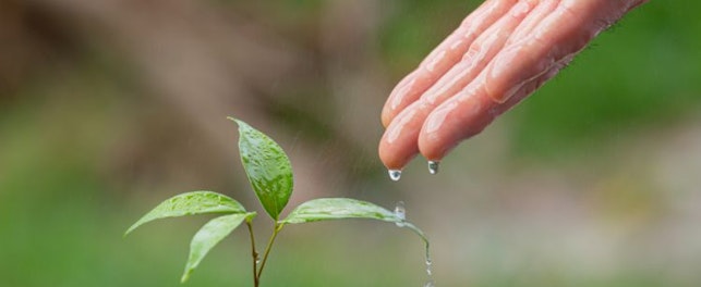 sostenibilidad agua agricultura mapeo suelos