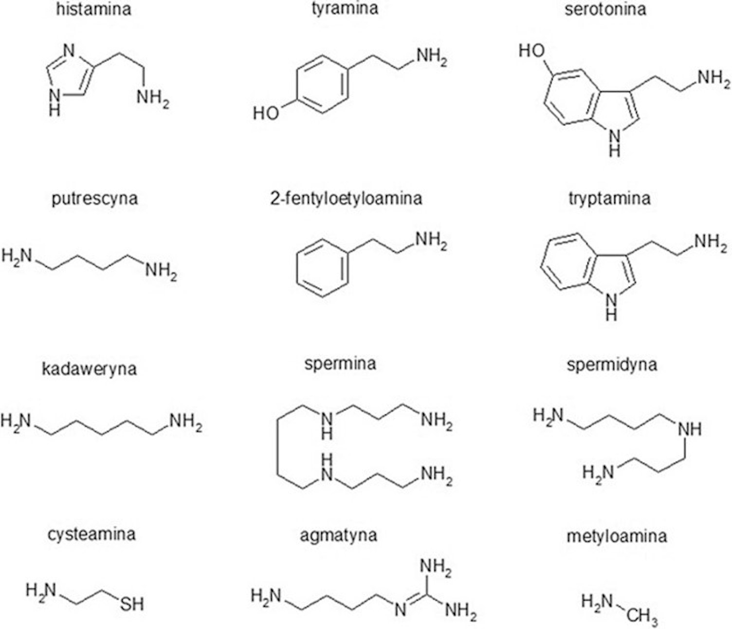 Rysunek przedstawia budowę chemiczną niektórych amin biogennych.