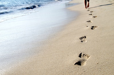 W piasku plażowym może znajdować się wiele szkodliwych dla zdrowia mikroorganizmów chorobotwórczych.