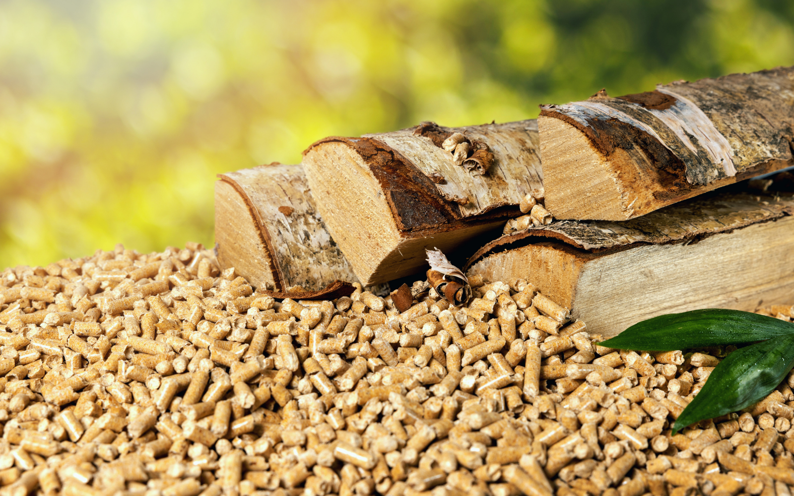 SGS Polska jest partnerem strategicznym 15. edycji Forum Biomasy i RDF w Ciepłownictwie, Energetyce i Przemyśle.