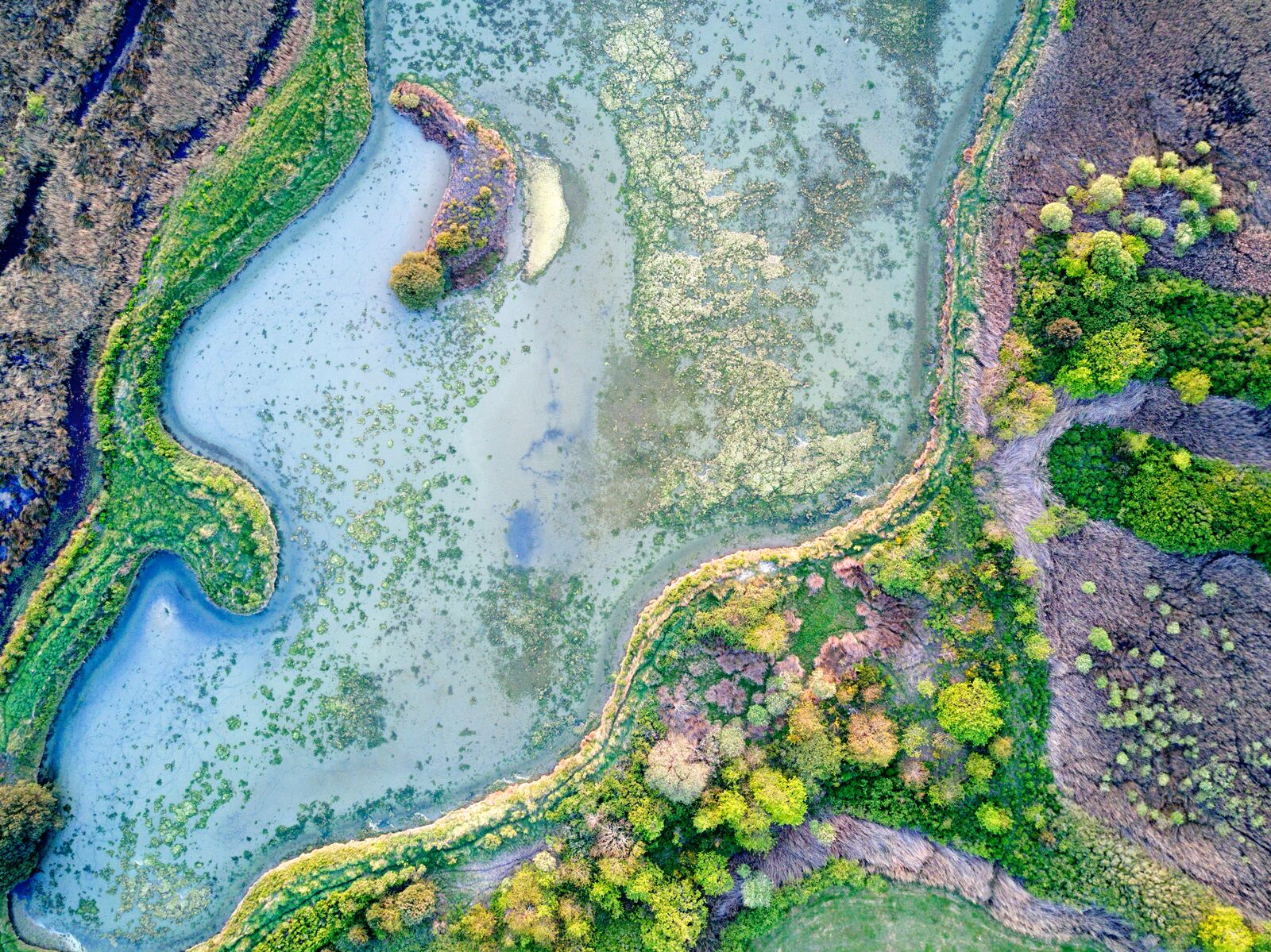 Zapewnienie wody pitnej wolnej od zagrożeń mikrobiologicznych pozostaje jednym z najważniejszych wyzwań w ochronie zdrowia publicznego.