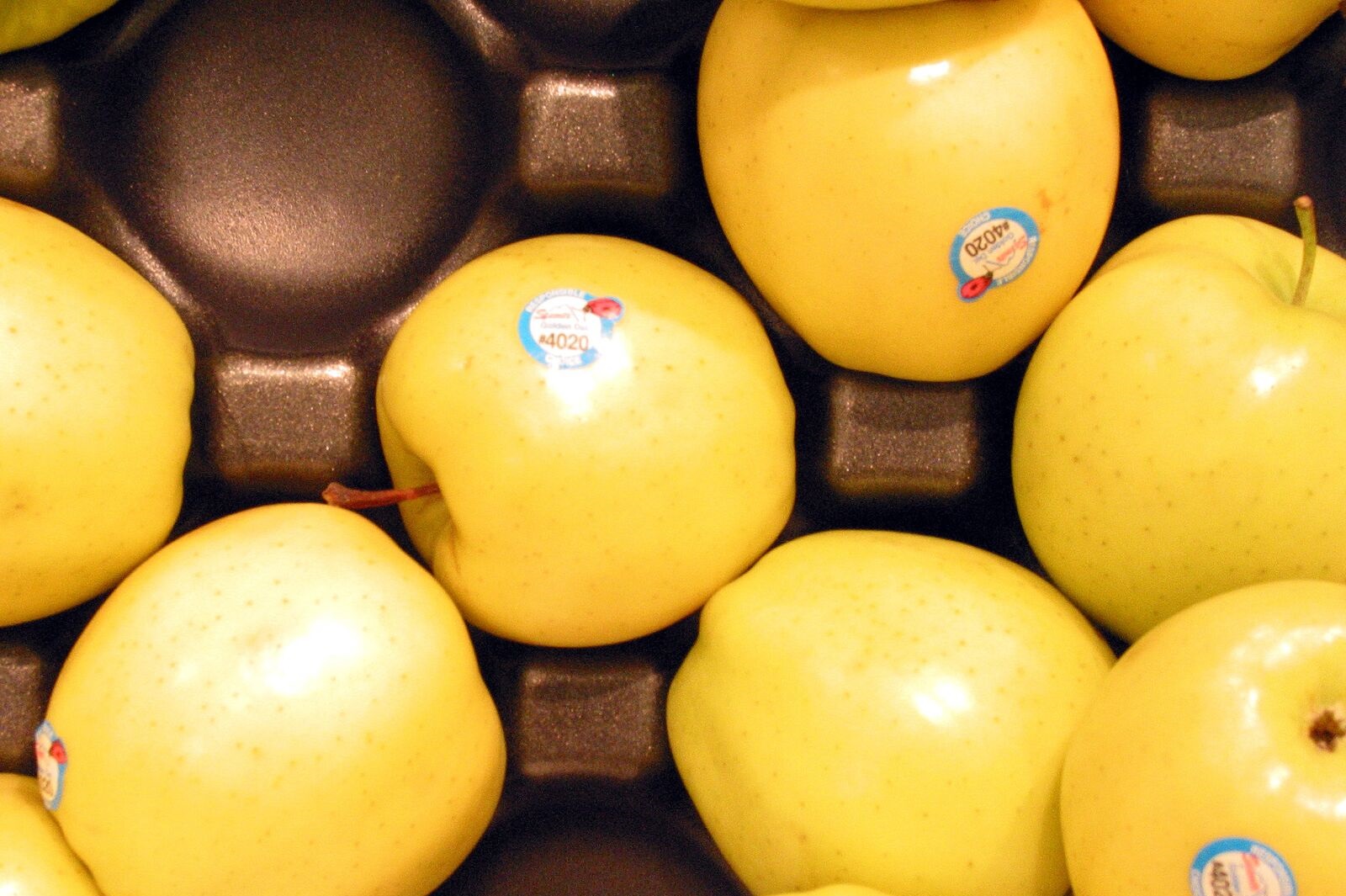Żółte jabłka z widocznymi naklejonymi etykietami, leżące na wytłaczance.
