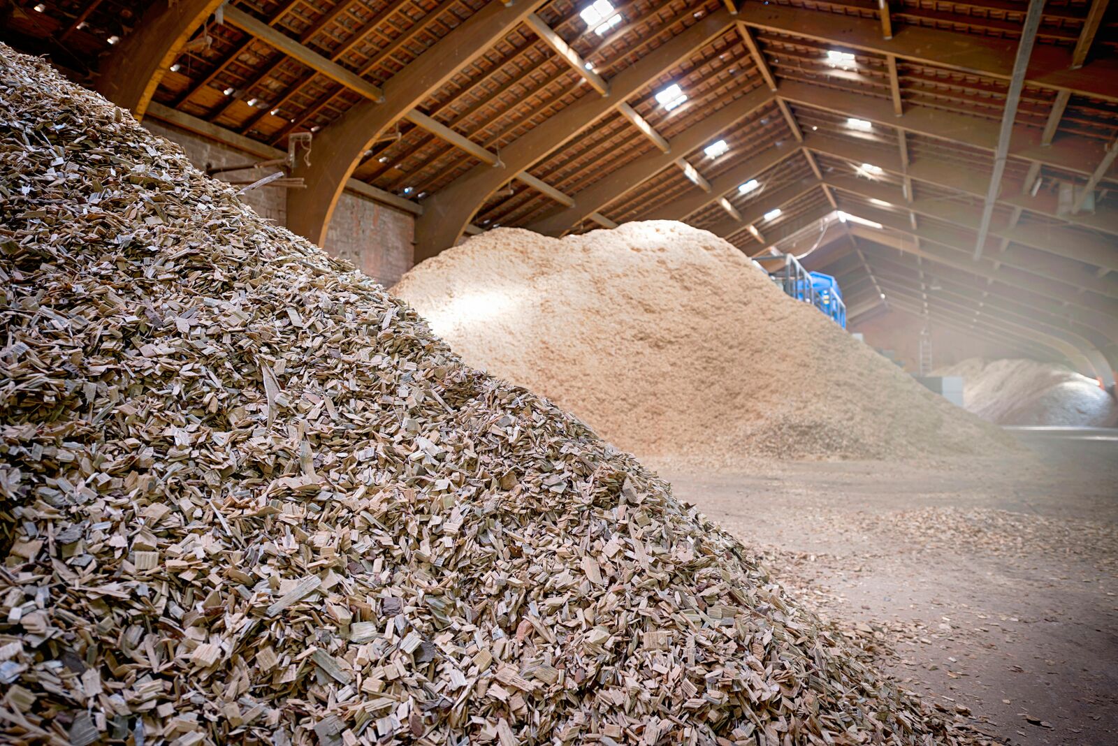 27-28 marca 2025 roku w Toruniu odbędzie się kolejna, już 14. edycja Forum Biomasy i RDF w Ciepłownictwie, Energetyce i Przemyśle.