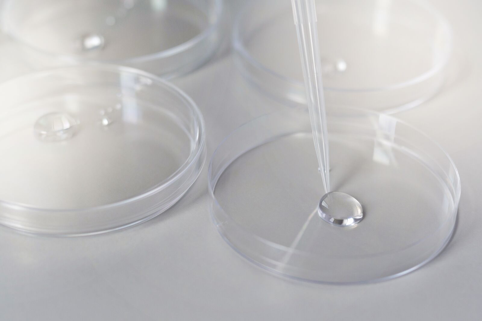 Petrifilm to innowacyjna metoda wykrywania patogenów w żywności.