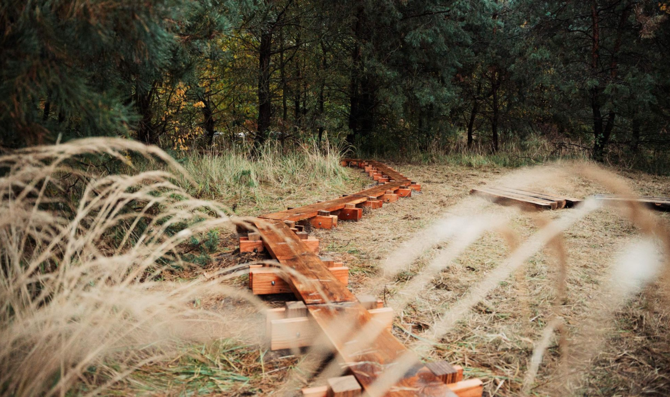 Fragment Logicor Serenity Park w Mysłowicach.