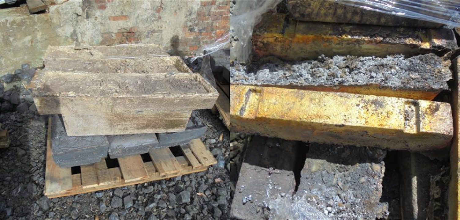 Na zdjęciach widoczne są gąski mosiężne.