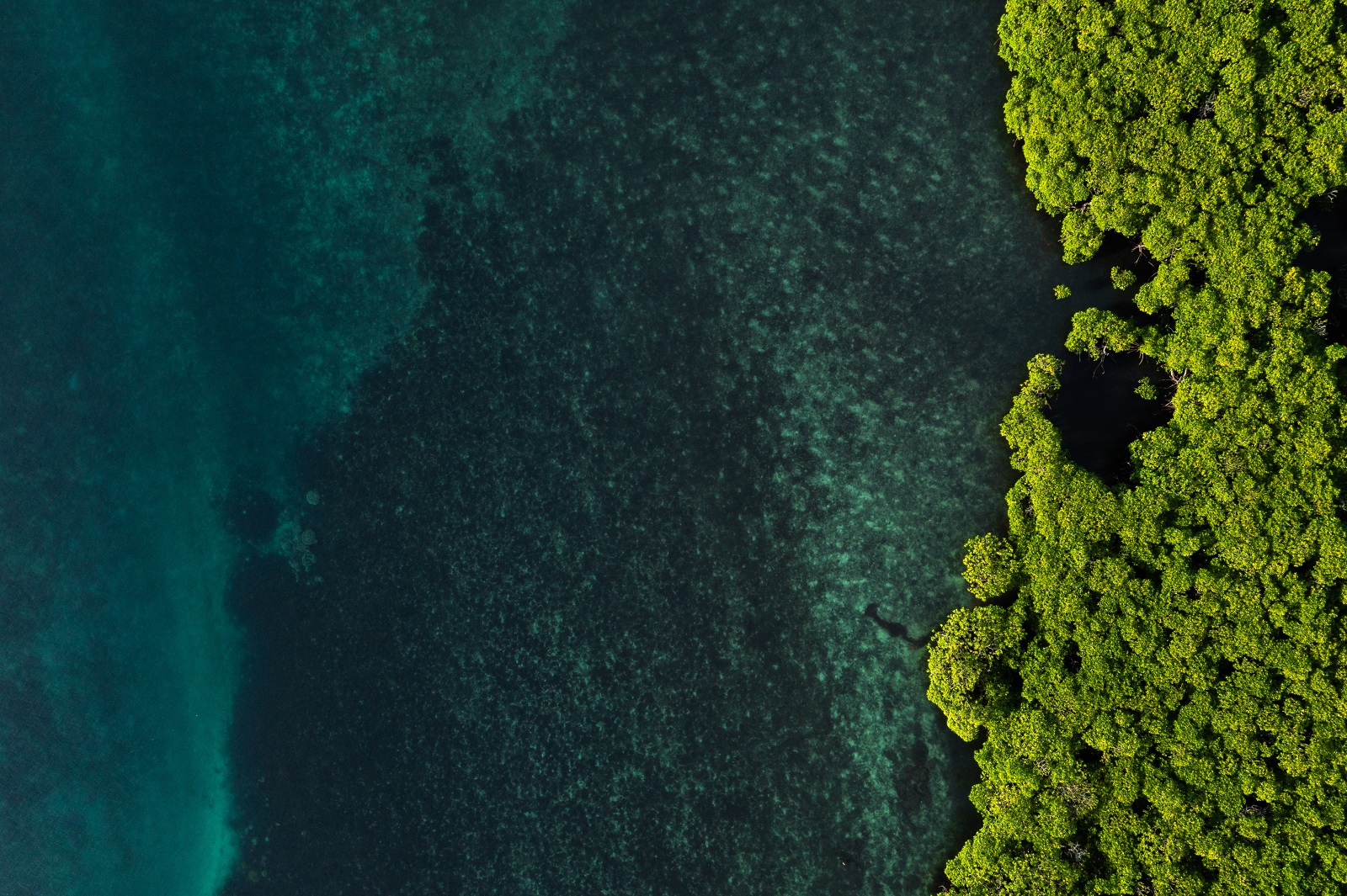 Widok z lotu ptaka na duży zbiornik wodny z widocznymi po prawej stronie zielonymi drzewami na brzegu.
