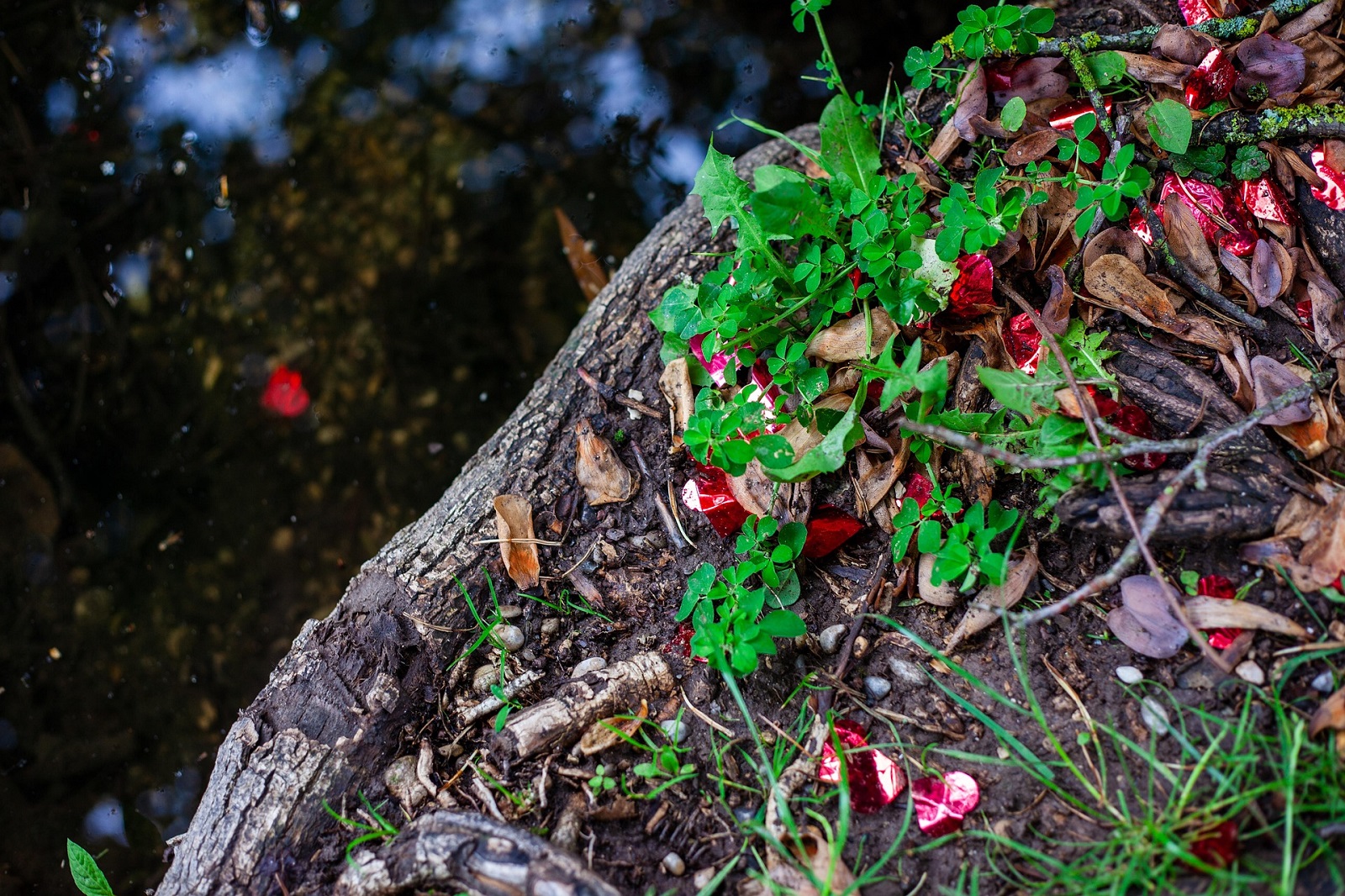 Przydomowe oczyszczalnie ścieków stanowią coraz popularniejsze rozwiązanie dla gospodarstw domowych znajdujących się poza zasięgiem miejskiej sieci kanalizacyjnej.