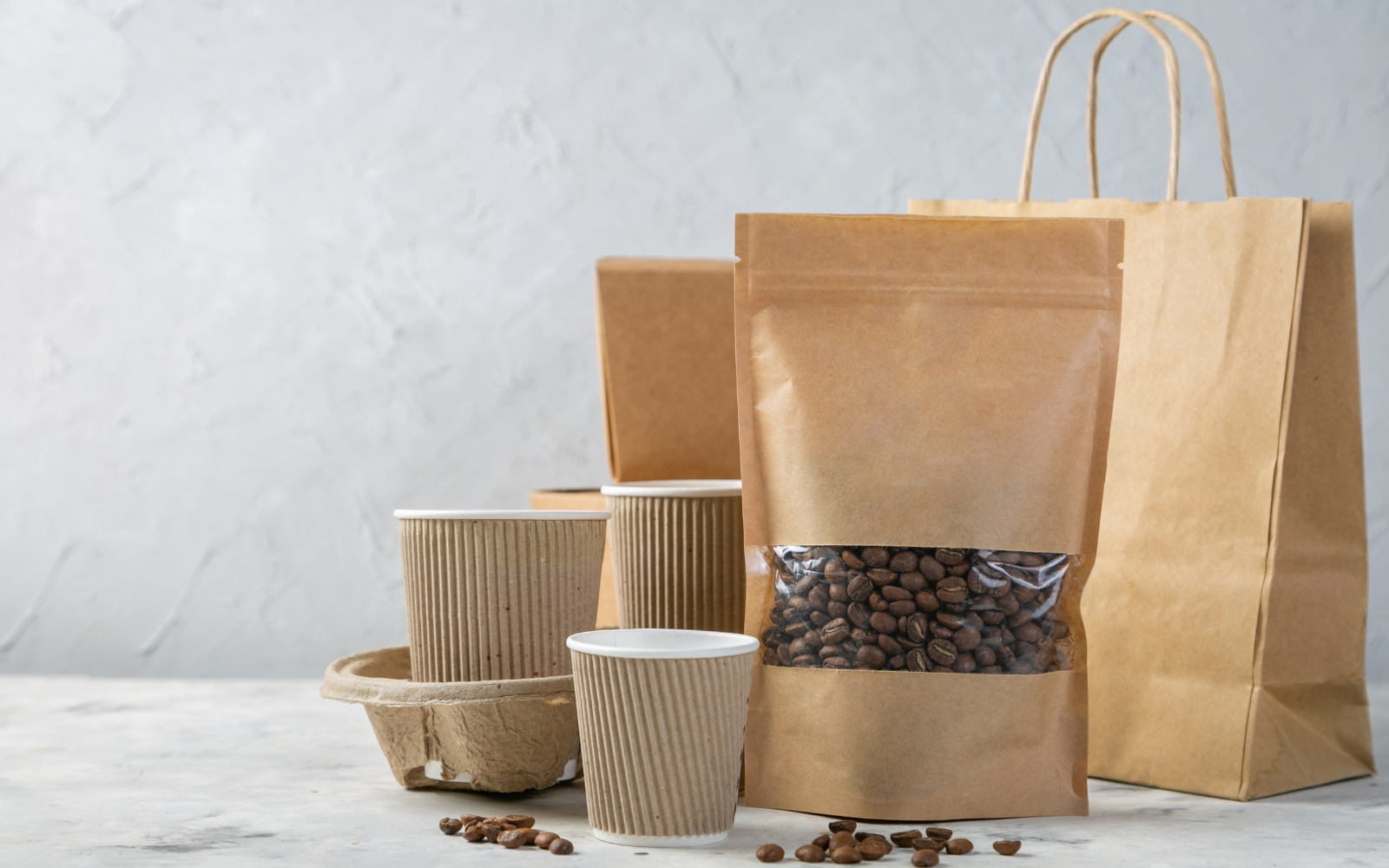 SGS Polska i stowarzyszenie NATUREEF szerzy świadomość w zakresie zrównoważonego rozwoju.