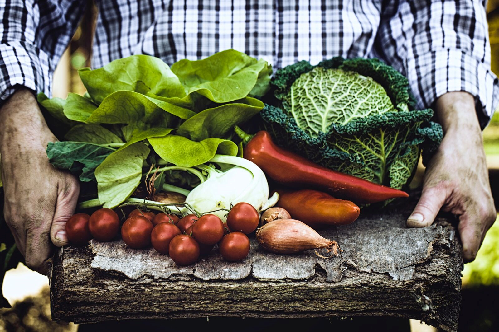 SGS Polska serdecznie zaprasza na szkolenie Manager jakości w branży spożywczej - szkolenie z zakresu HACCP, ISO/ FSSC 22000, BRCGS, IFS.