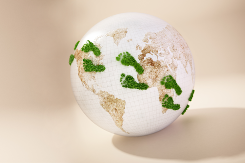 Carbon Footprint Globe