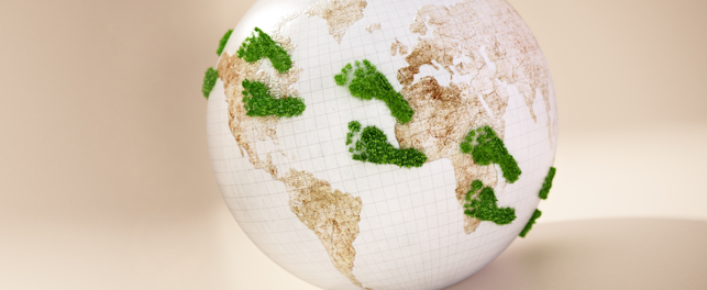 Carbon Footprint Globe
