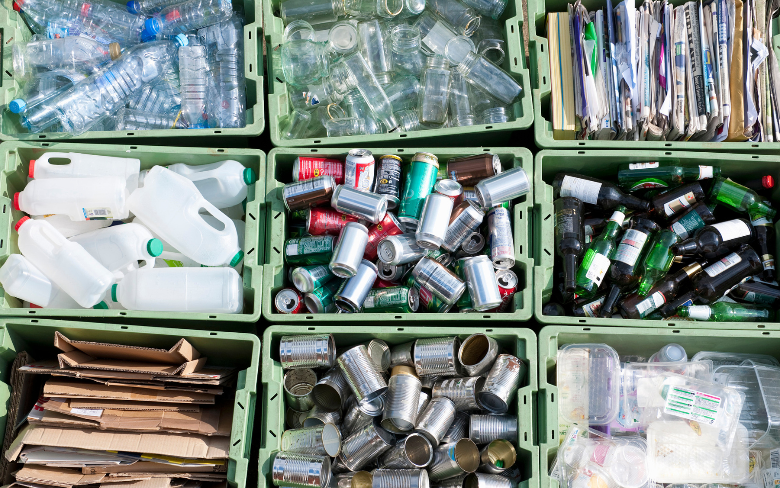 Od 1 października rusza cykl 5 webinariów Stowarzyszenia Natureef - jedno ze spotkań poprowadzi ekspertka SGS Polska.