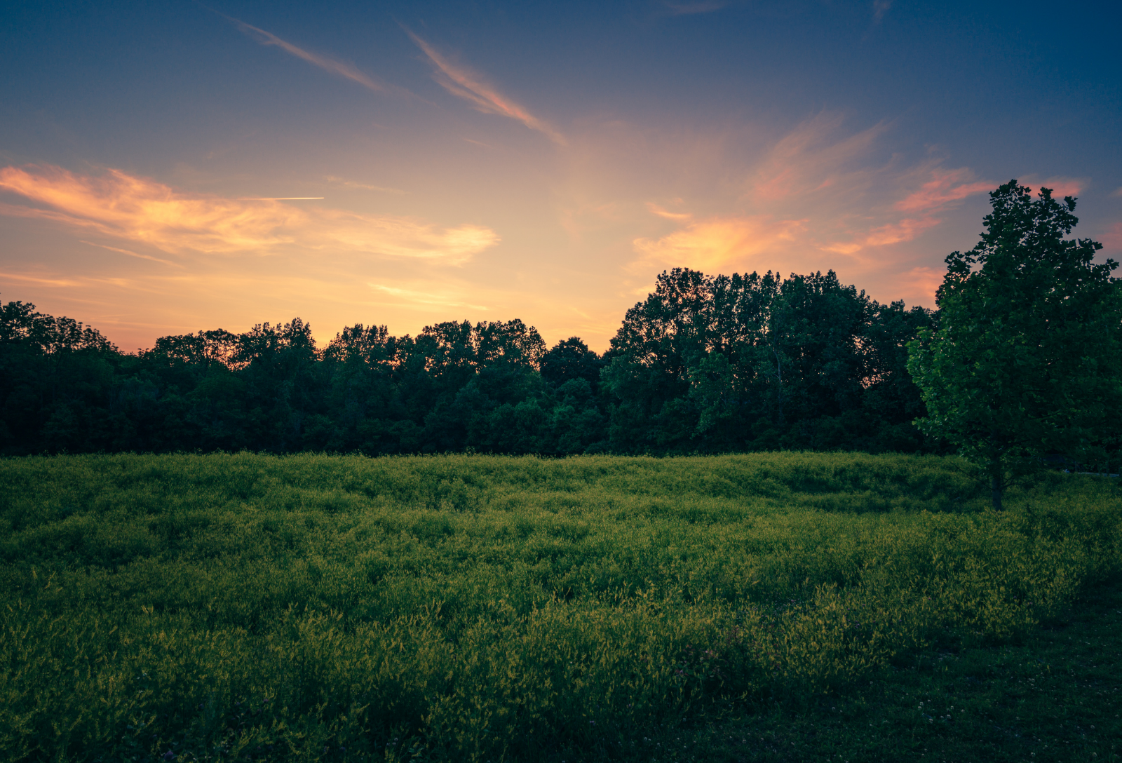 SGS Polska zaprasza 18 listopada na webinar: Środowiskowe systemy zarządzania – zmiany.