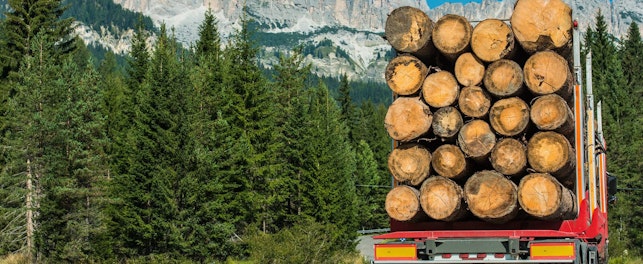 Forestry wood truck delivery