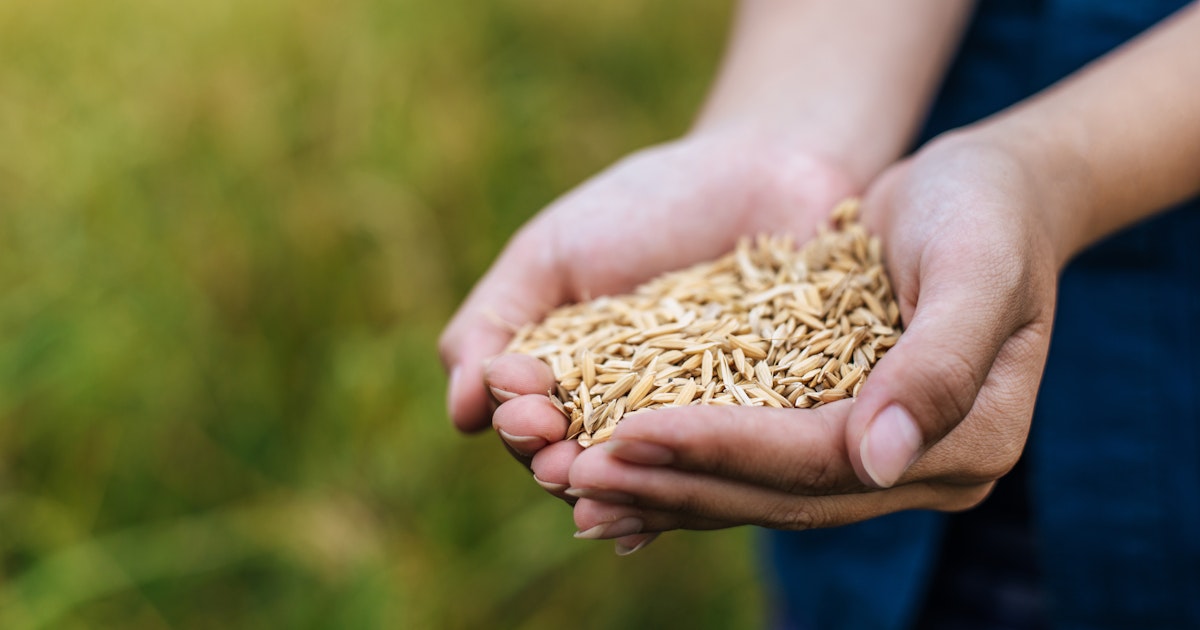 Our SGS Agri Food Laboratory in Maitland Is Now Gafta Approved for ...